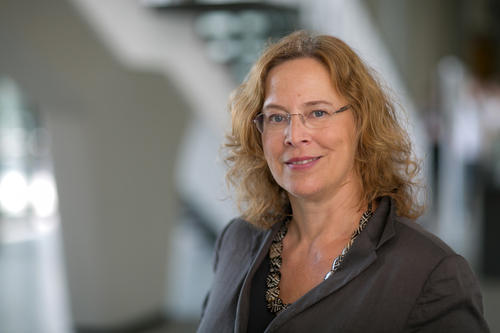 Prof. Dr. Katharina Bluhm