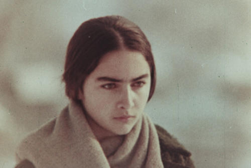 "Meine armenischen Gespenster" (2026)