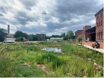 Der Innenhof der Malzfabrik mit Gewächshaus im Hintergrund