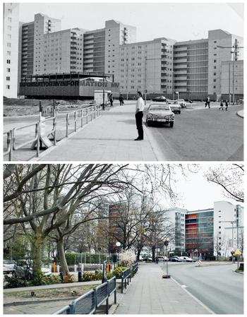 Abbildung 1: Eichhorster Weg / Wilhelmsruher Damm ca. 1968; Welte, Christian, gefunden auf https://west.berlin/fotoaufruf?page=13