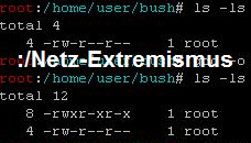 Netz-extremismus