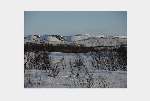 Die arktische Region in der russischen Oblast Murmansk an der Grenze zu Norwegen. © Nadir Kinossian